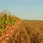 La-Zoraida-agricultura-1