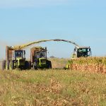 La-Zoraida-agricultura-3