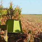 La-Zoraida-agricultura-4