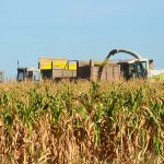La-Zoraida-agricultura-5