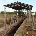 La-Zoraida-ganadería-4